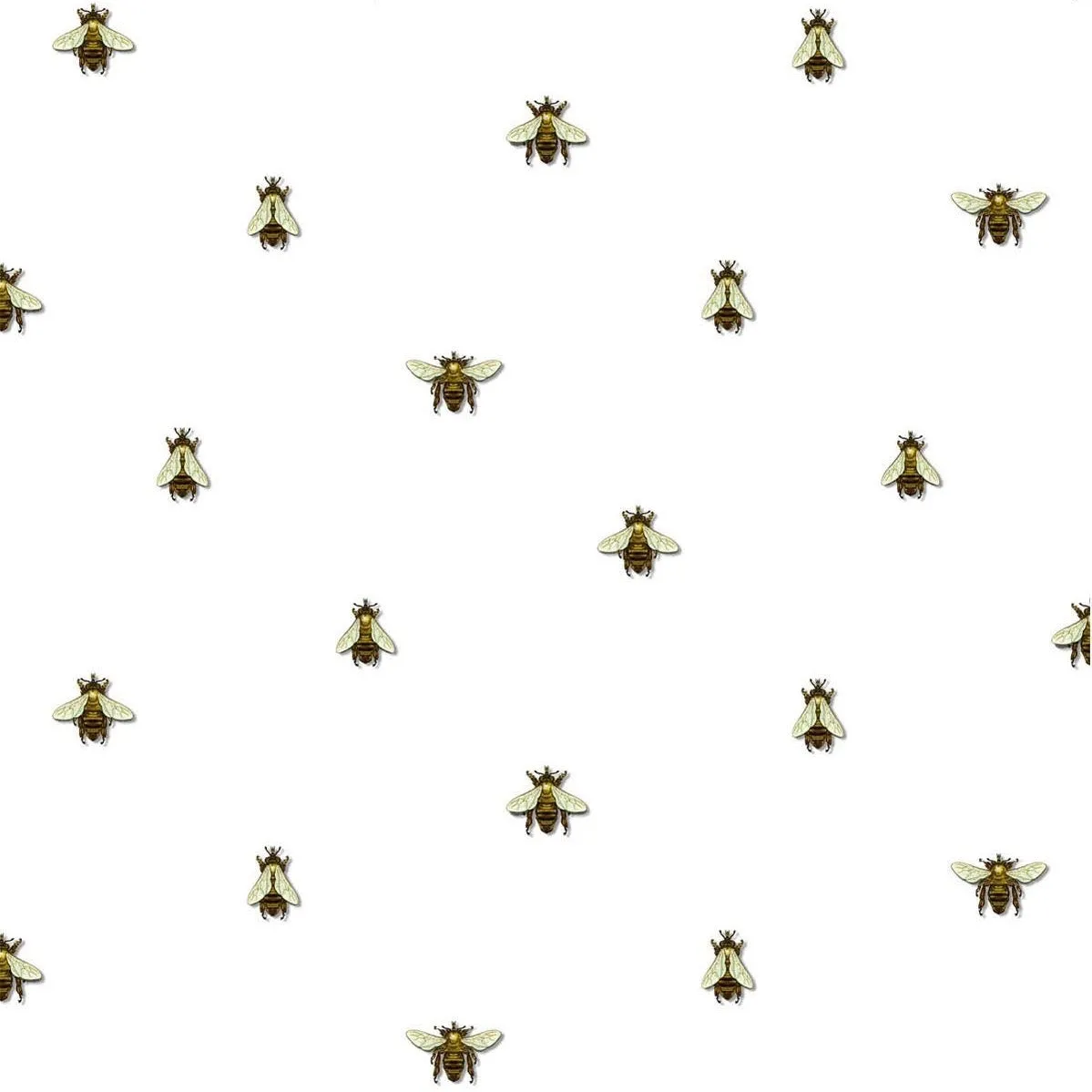 wild honey bee spot wallpaper