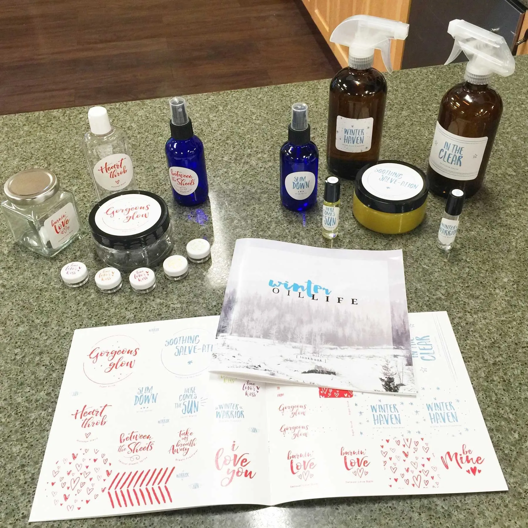 Winter 2016 DIY Download