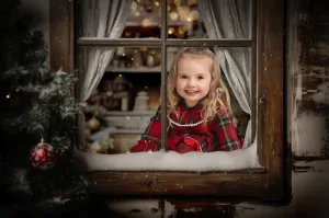 Winter Window Framer Digital Background Trio