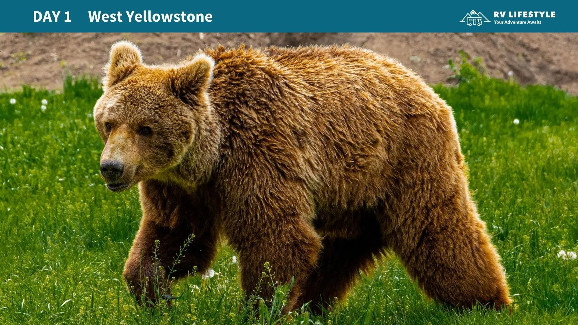 Yellowstone National Park RV Adventure Guide